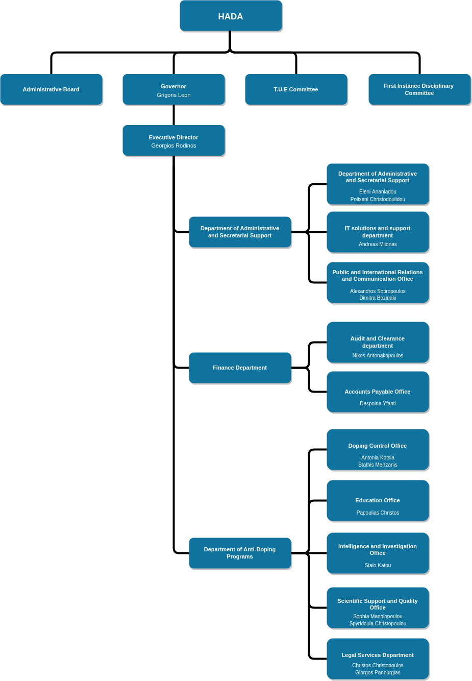 Organisation Chart